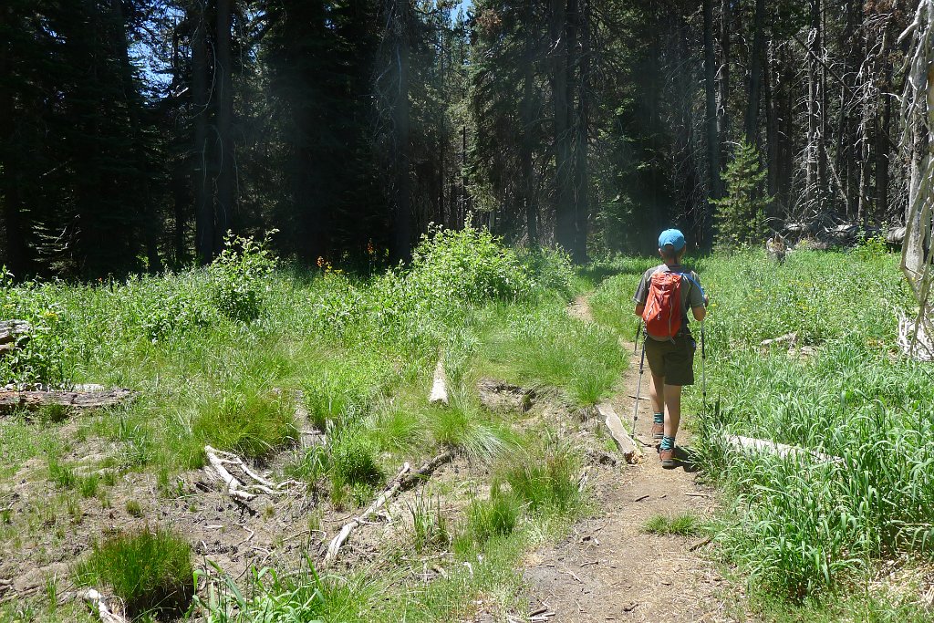 YosemiteCreek 082